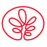 International Grains & Cereal Logo