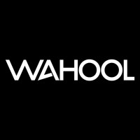 Wahool Logo