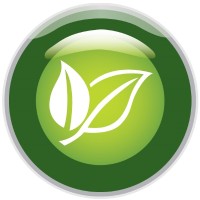 Future Focus Energy Limited Logo