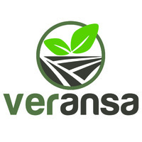 Veransa Group, Inc Logo