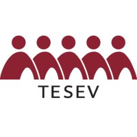 Türkiye Ekonomik ve Sosyal Etüdler Vakfı (TESEV) Logo