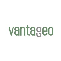 Vantageo Private Limited Logo