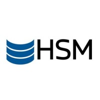 HSM ENGINEERING 2017 LIMITED Logo