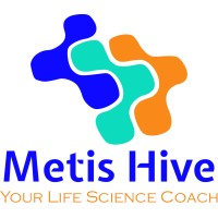 Metis Hive Logo