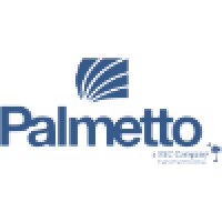 Palmetto Engineering & Consulting Logo
