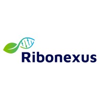 Ribonexus Logo