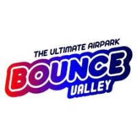 Bounce Valley Group Logo
