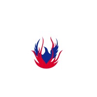 Phoenix Financial Network Logo
