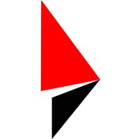 Real Image Media Solutions Logo