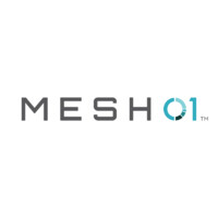 MESH01 Logo