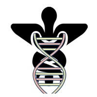 Biomedical Software Engineering LLC Logo