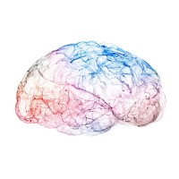 Psychedelic Research & Insights Council Logo