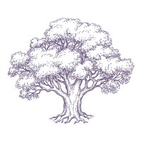 LSU Interfraternity council (IFC) Logo