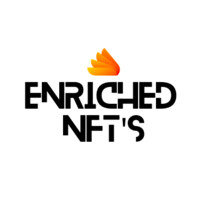 Enriched NFTs Logo