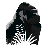 Silverback Network, Inc. Logo