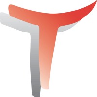 Temocon Executive Search Logo