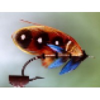 Cumbria Fly Fishing Logo