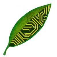New Leaf Engineering, LLC Logo