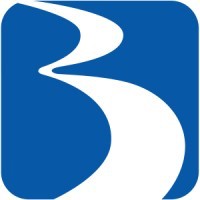 BraunAbility Europe Logo