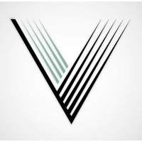 Validus Capital Logo