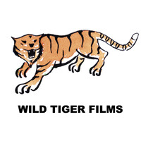 WILD TIGER FILMS LTD Logo