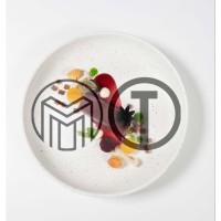 Morgan | TAIDE Logo