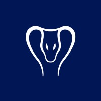Vasuki Global Tech Fund Logo
