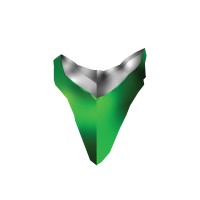 DMSI International Logo