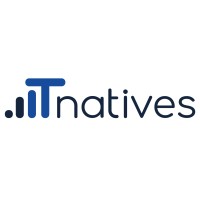 IT Natives Logo