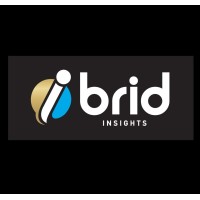iBrid Insights Logo
