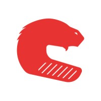 Castor Software Logo