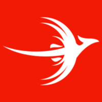 RISE Technology Advisors Logo