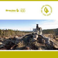 Bracke Forest AB Logo