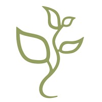 Professional Accounting & Financial Services Logo