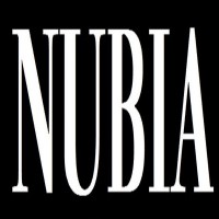 Nubia Brand International Corp. (NASDAQ | NUBI) Logo