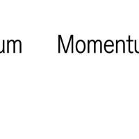 Momentum Logo