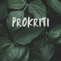 Prokriti Consumer Products Logo