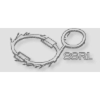 Stanford Synchrotron Radiation Lightsource Logo