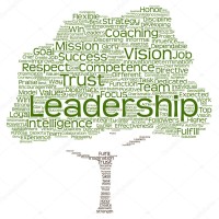 Old Growth Leadership Development Logo