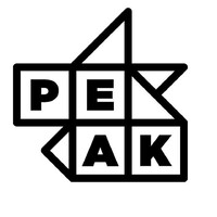 Peak India Logo