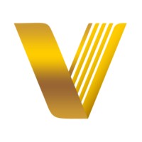 Level V Partners Logo