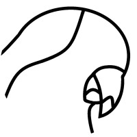 Animal Wonders, LLC Logo