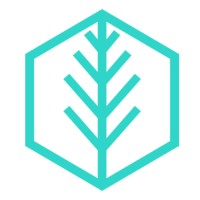 Paradigm Evergreen Inc. Logo