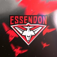Essendon Football Club Logo