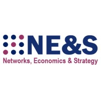 NE&S (Networks, Economics & Strategy) Logo
