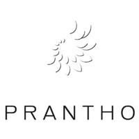 Prantho GmbH Logo