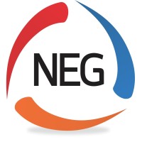 NEG MEDIA CONSULTING LTD Logo
