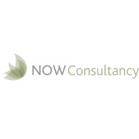 NOW CONSULTANCY LTD Logo
