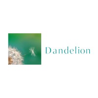 DANDELION FINANCIAL LIMITED Logo