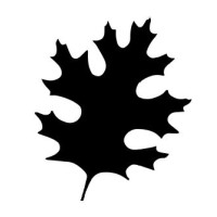 Oak Ridge Country Club Logo